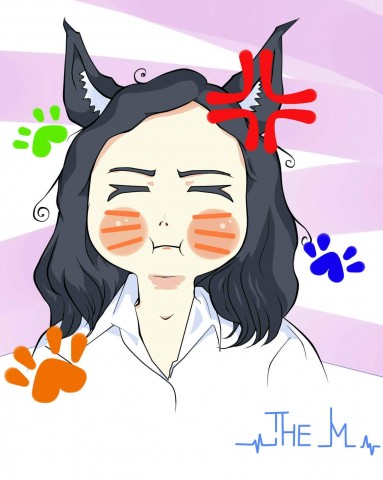 โปรแกรมเมอร์/IT