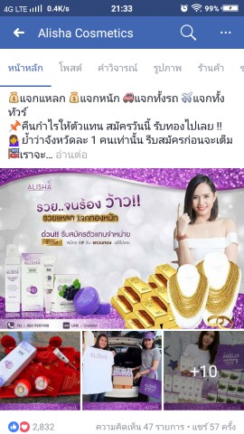 ฟรีแลนซ์อื่นๆ