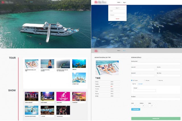 โปรแกรมเมอร์/IT