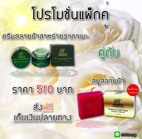 ช่างภาพ/ตากล้อง