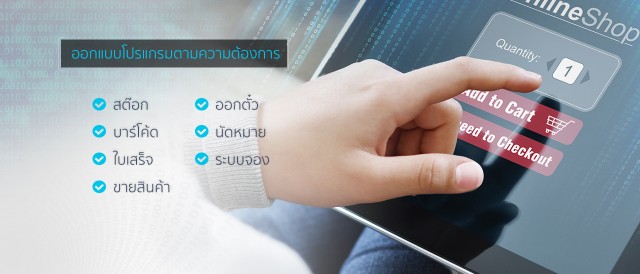 โปรแกรมเมอร์/IT