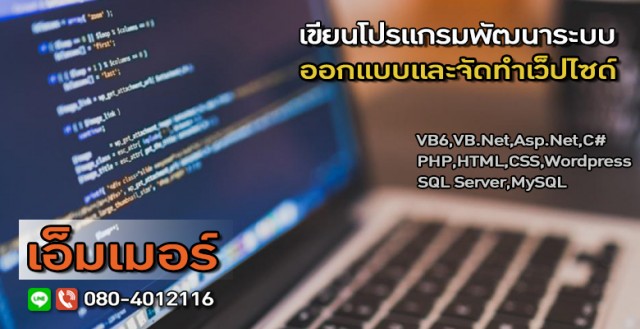 โปรแกรมเมอร์/IT