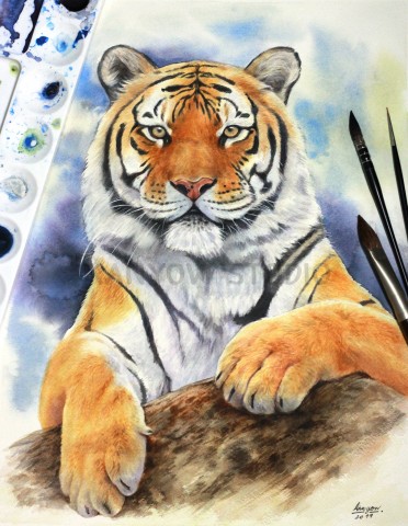 กราฟฟิค/วาดภาพ