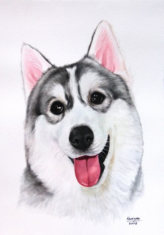 กราฟฟิค/วาดภาพ