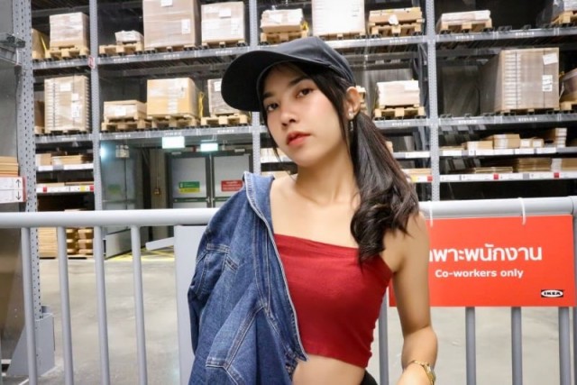 นายแบบ/นางแบบ/นักแสดง