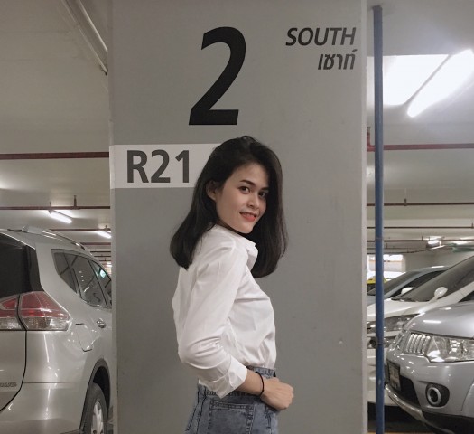 นายแบบ/นางแบบ/นักแสดง