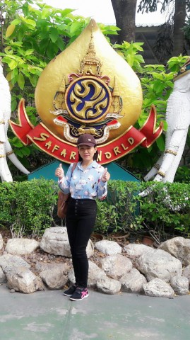 ไกด์ / มัคคุเทศก์