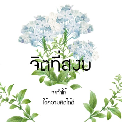 กราฟฟิค/วาดภาพ