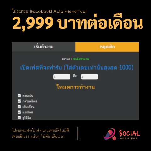 โปรแกรมเมอร์/IT