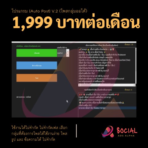 โปรแกรมเมอร์/IT