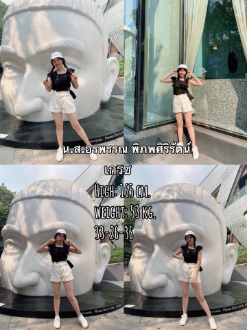 นายแบบ/นางแบบ/นักแสดง
