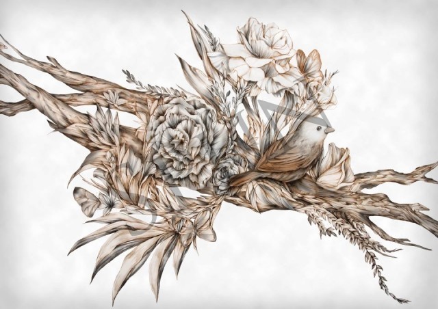 กราฟฟิค/วาดภาพ
