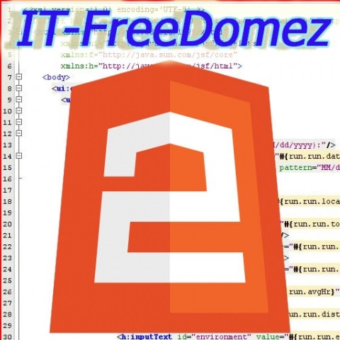 โปรแกรมเมอร์/IT