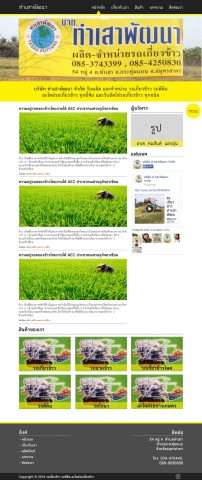 โปรแกรมเมอร์/IT