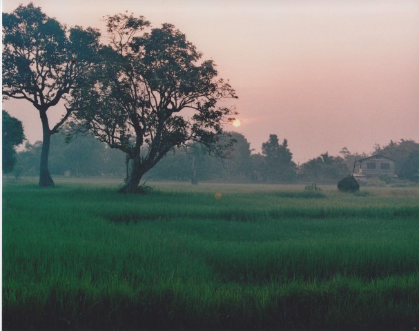 นักเขียน