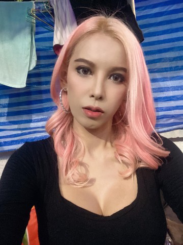 นายแบบ/นางแบบ/นักแสดง