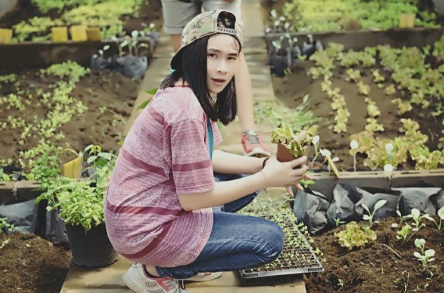 ออแกไน/อีเว้นท์