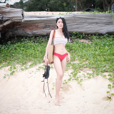 นายแบบ/นางแบบ/นักแสดง