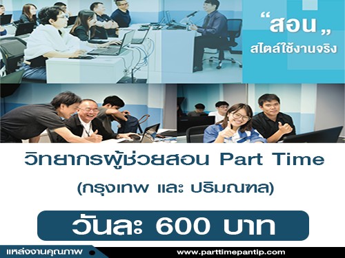 โปรแกรมเมอร์/IT