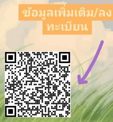 ฟรีแลนซ์อื่นๆ